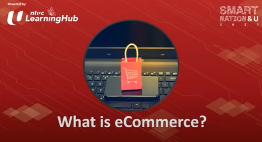 Smart Nation Webinar - Getting started on E commerce BS4101